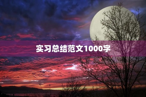 实习总结范文1000字