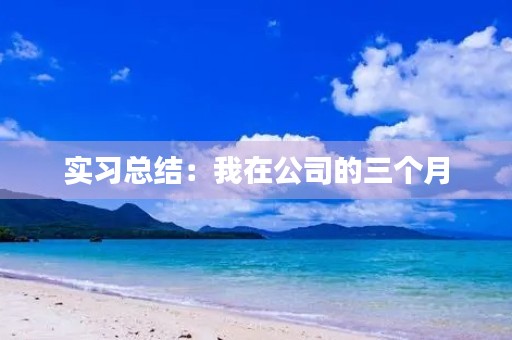 实习总结：我在公司的三个月