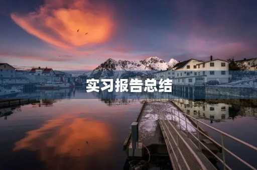 实习报告总结