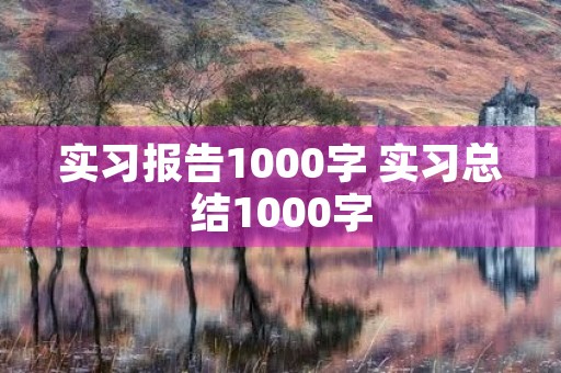 实习报告1000字 实习总结1000字