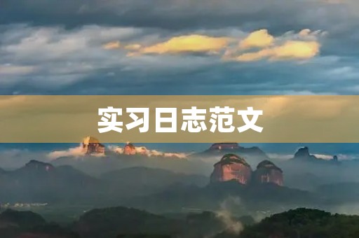 实习日志范文