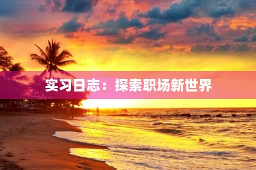 实习日志：探索职场新世界
