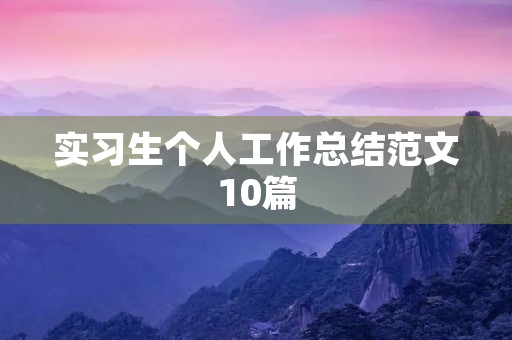 实习生个人工作总结范文10篇