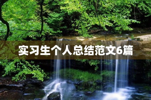 实习生个人总结范文6篇