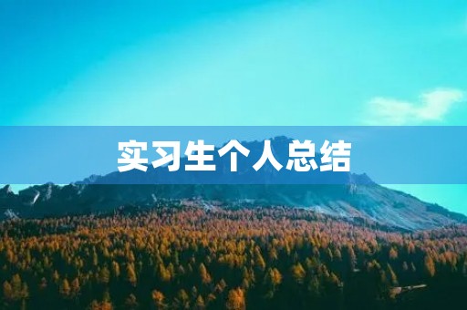 实习生个人总结