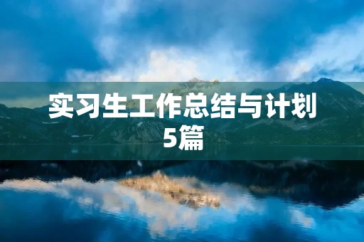 实习生工作总结与计划5篇