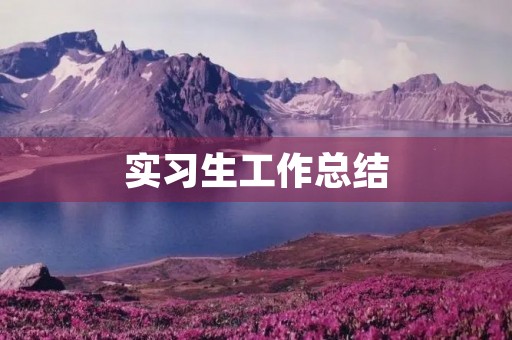 实习生工作总结 实习生工作总结