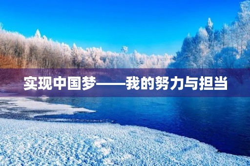 实现中国梦——我的努力与担当