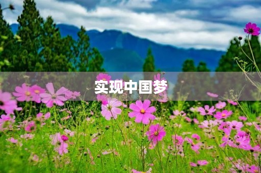 实现中国梦，我们需要做些什么？
