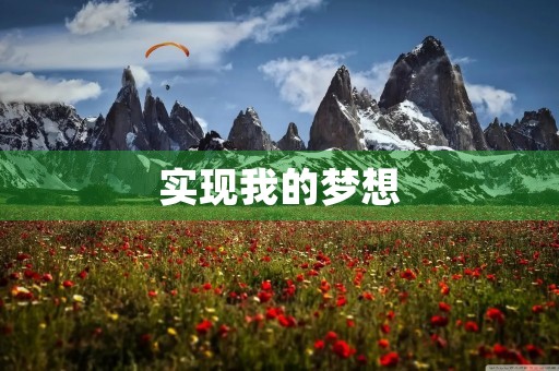实现我的梦想，走向未来