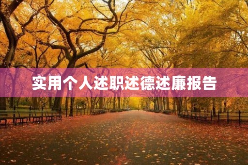 实用个人述职述德述廉报告