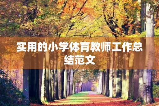 实用的小学体育教师工作总结范文