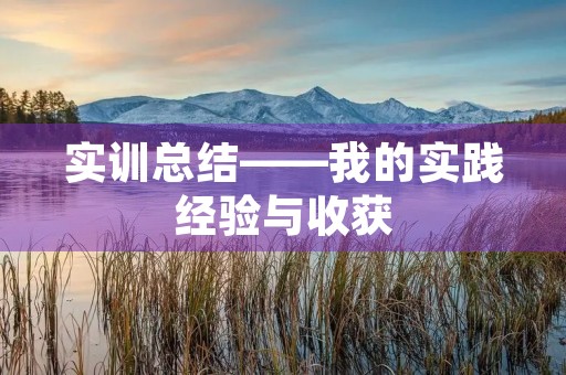 实训总结——我的实践经验与收获