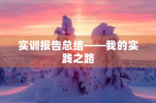 实训报告总结——我的实践之路