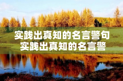实践出真知的名言警句 实践出真知的名言警句六年级下册