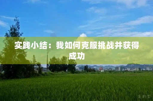 实践小结：我如何克服挑战并获得成功