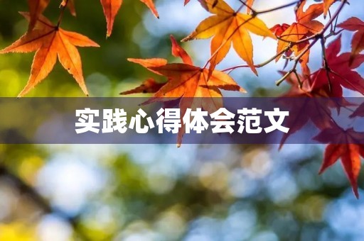 实践心得体会范文