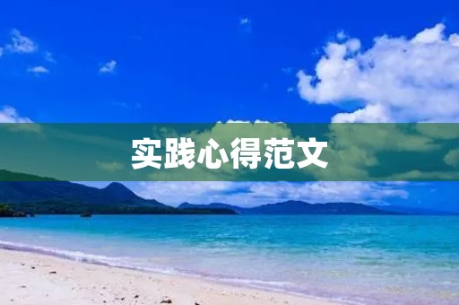实践心得范文