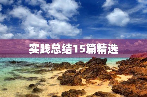 实践总结15篇精选