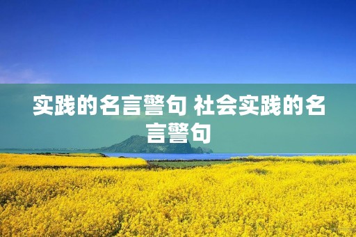 实践的名言警句 社会实践的名言警句