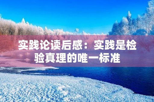 实践论读后感：实践是检验真理的唯一标准