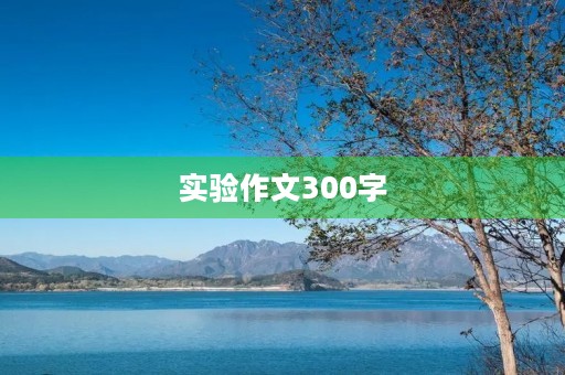 实验作文300字 实验作文300字