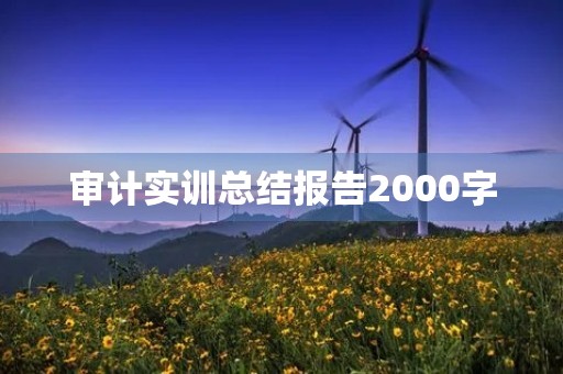 审计实训总结报告2000字