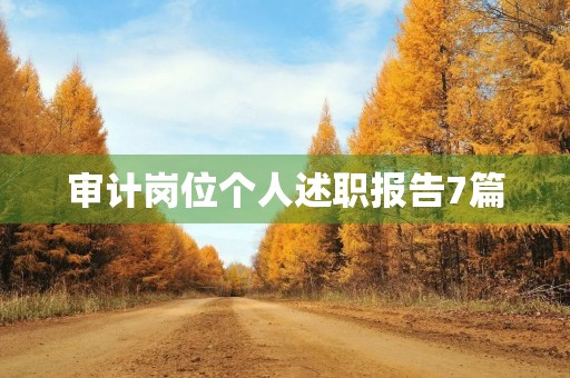 审计岗位个人述职报告7篇