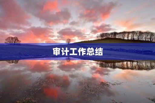审计工作总结，审计工作总结优秀范文