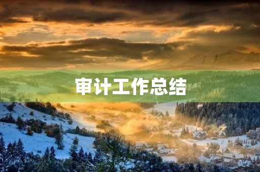 审计工作总结
