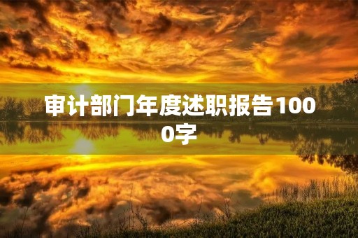 审计部门年度述职报告1000字