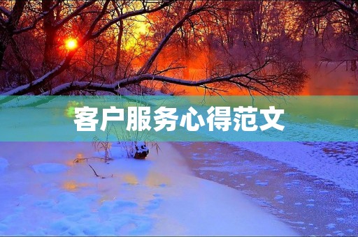 客户服务心得范文
