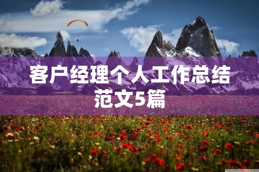 客户经理个人工作总结范文5篇