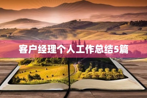 客户经理个人工作总结5篇