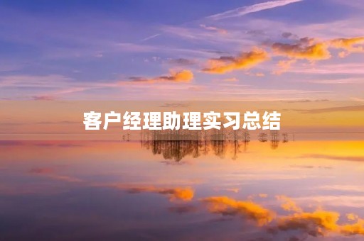 客户经理助理实习总结 客户经理助理实习总结