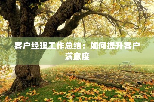 客户经理工作总结:如何提升客户满意度 客户经理工作总结:如何提升客户满意度