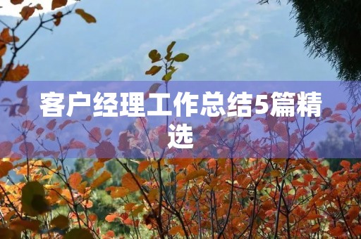 客户经理工作总结5篇精选