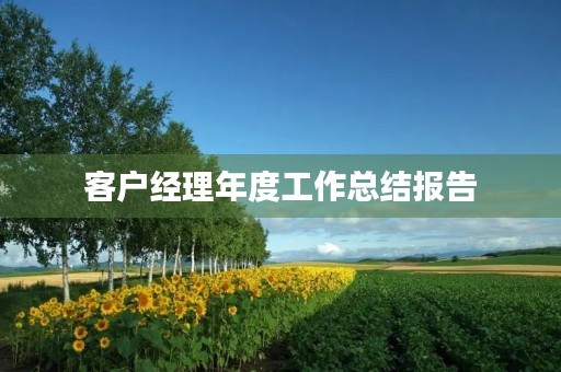 客户经理年度工作总结报告