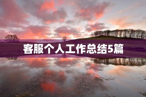 客服个人工作总结5篇