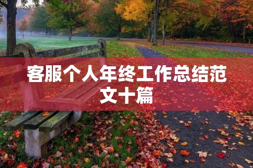 客服个人年终工作总结范文十篇