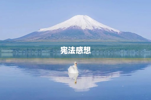 宪法感想 宪法感想