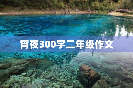 宵夜300字二年级作文