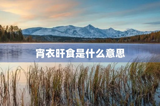 宵衣旰食是什么意思