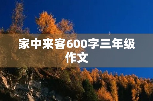 家中来客600字三年级作文