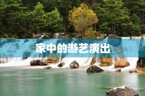 家中的游艺演出 家中的游艺演出