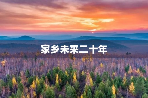 家乡未来二十年 家乡未来二十年