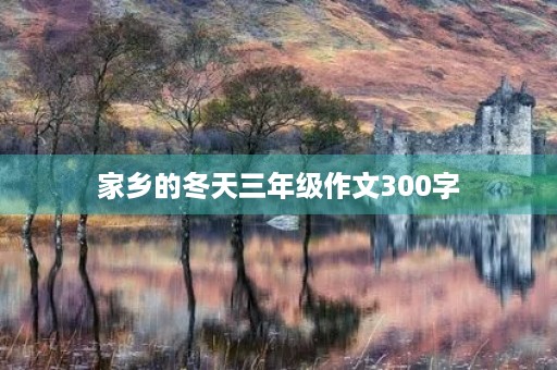 家乡的冬天三年级作文300字
