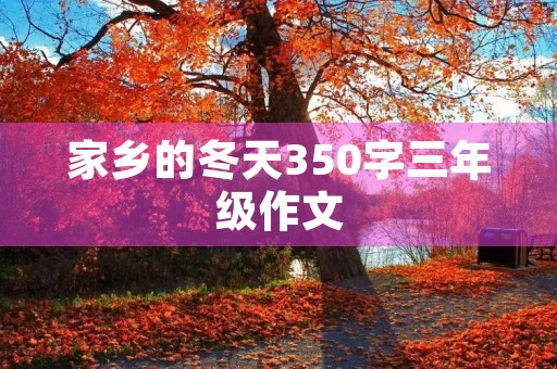 家乡的冬天350字三年级作文