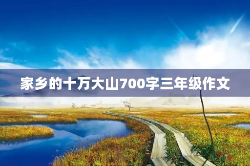 家乡的十万大山700字三年级作文
