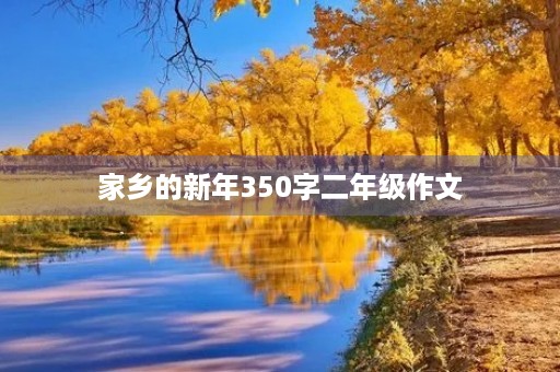 家乡的新年350字二年级作文